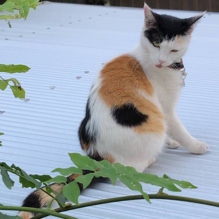 50da2f57 b3a3 457a a186 49b2c2cbbb8a 1624153136859