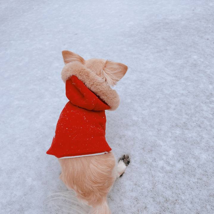 50da3117 29c2 4df9 b7ae 50df48c3e819 1676019524459