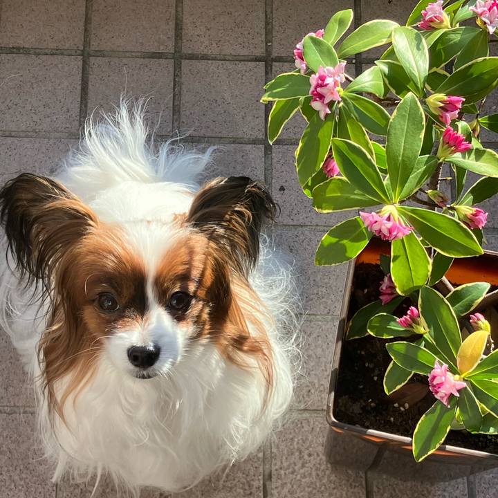 50da39b1 cc00 4986 b0e6 0b86dee298f7 1707089404786