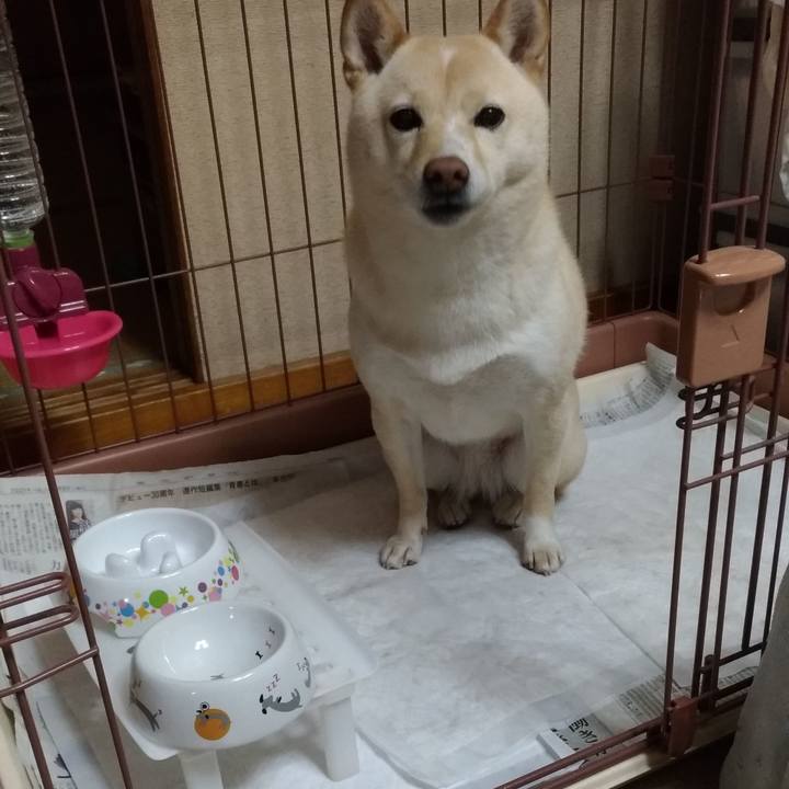 50da4ddb 2b91 4652 86db c4225ed041c7 1611393177166