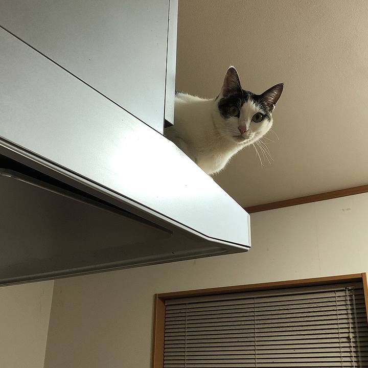 50da5e47 7b83 4cc1 9d76 33e6a0cf50a7 1649070159323