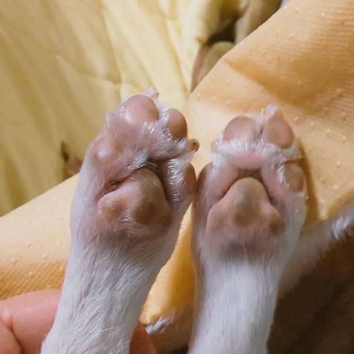 50da90d2 b5e6 436b aba5 c4389a82a599 1579966215838