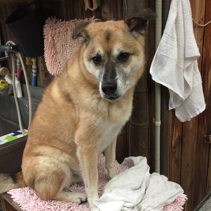 50daf95a 4119 4578 b5c9 9b157bf67dac 1574821916637