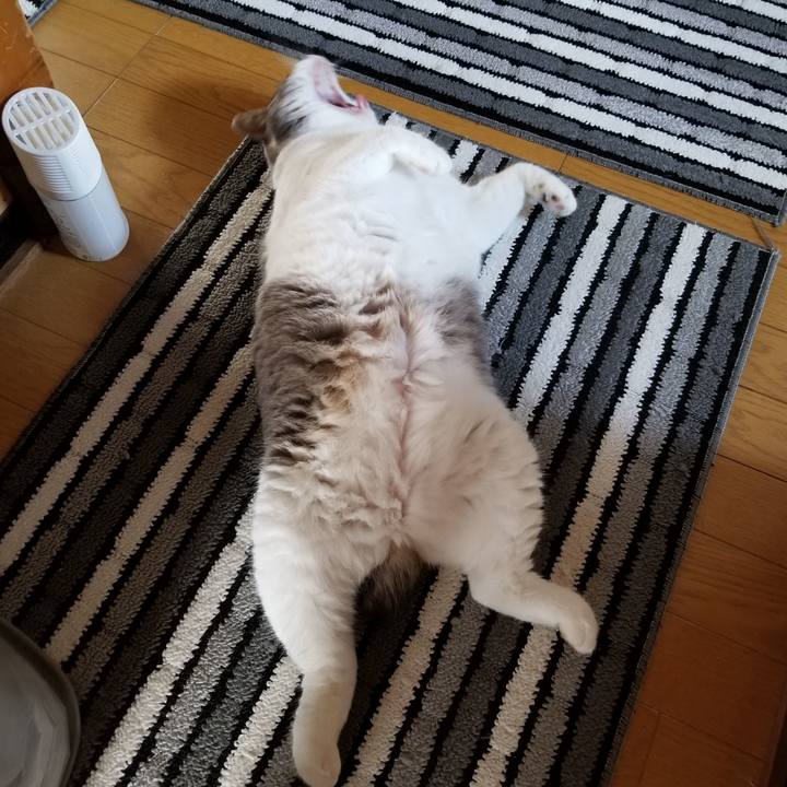 50db3df6 7efe 4194 bf51 00a950459f97 1660192134962