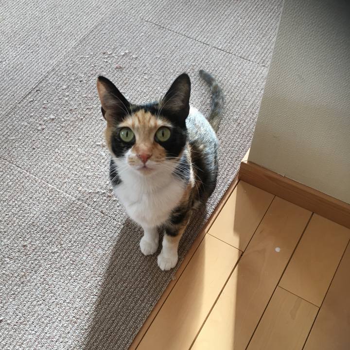 50db4d3b c26d 4681 a7ad f4e5a123cea4 1515989929186