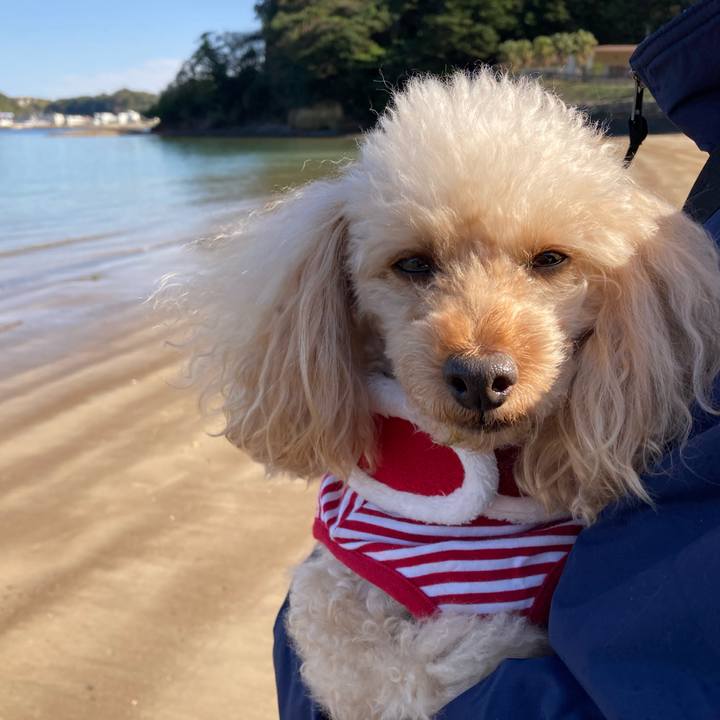 50dbac7e 5084 47b5 b341 e759d4648231 1671539051075