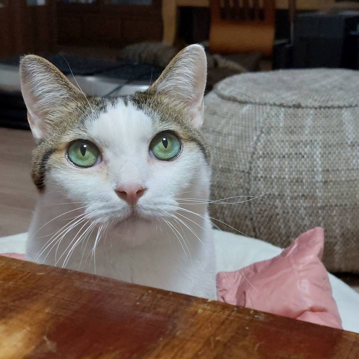 50dbd036 0545 42e0 8514 8fd795be3285 1667474564010