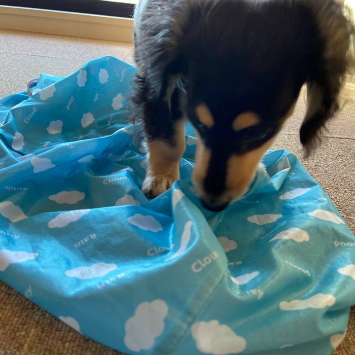 50dbdefe a145 472e b807 ae22831ad670 1671318780406