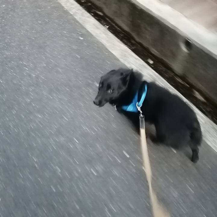 50dbe500 9550 4eea 9fba f2ba581daa35 1619005101086