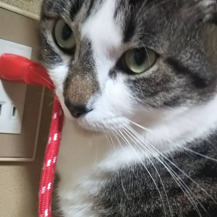 50dbf100 883c 45ea a317 0cdaed944936 1608473434024