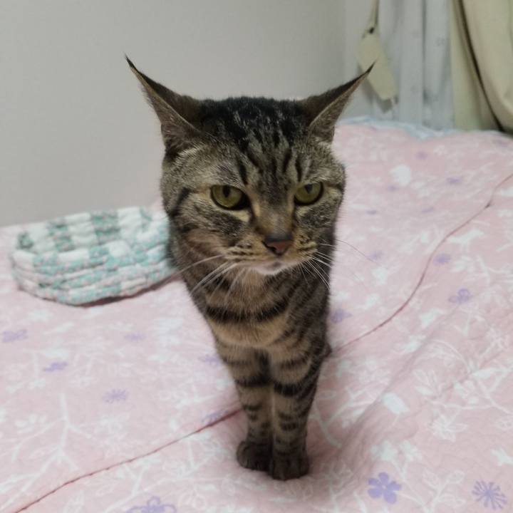 50dd05f4 d40c 458b b201 07b639078b48 1621200509908