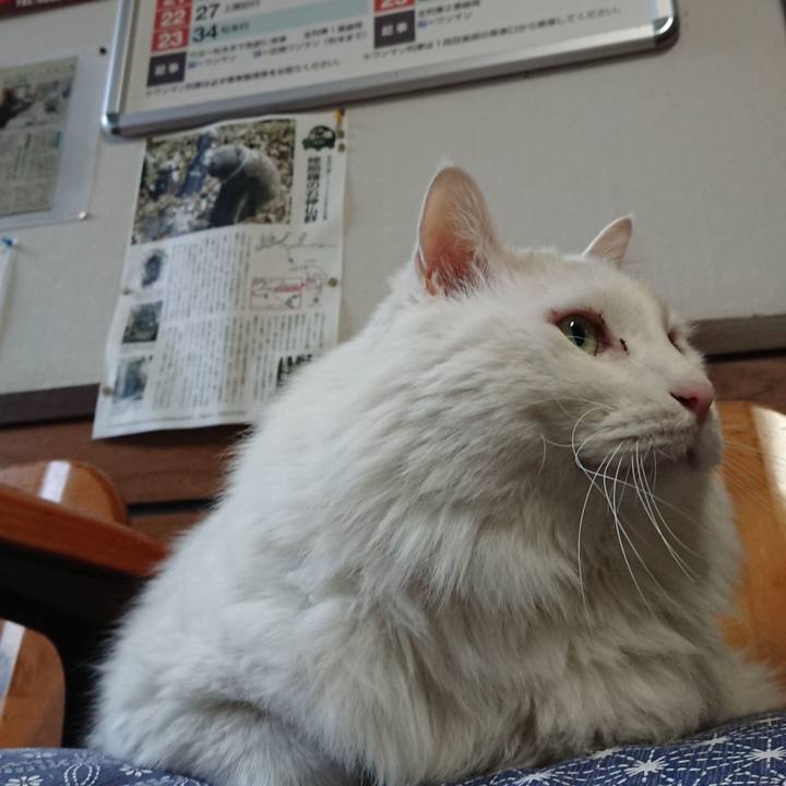 50dd0602 2185 4466 b797 69c976a8981b 1546899865676