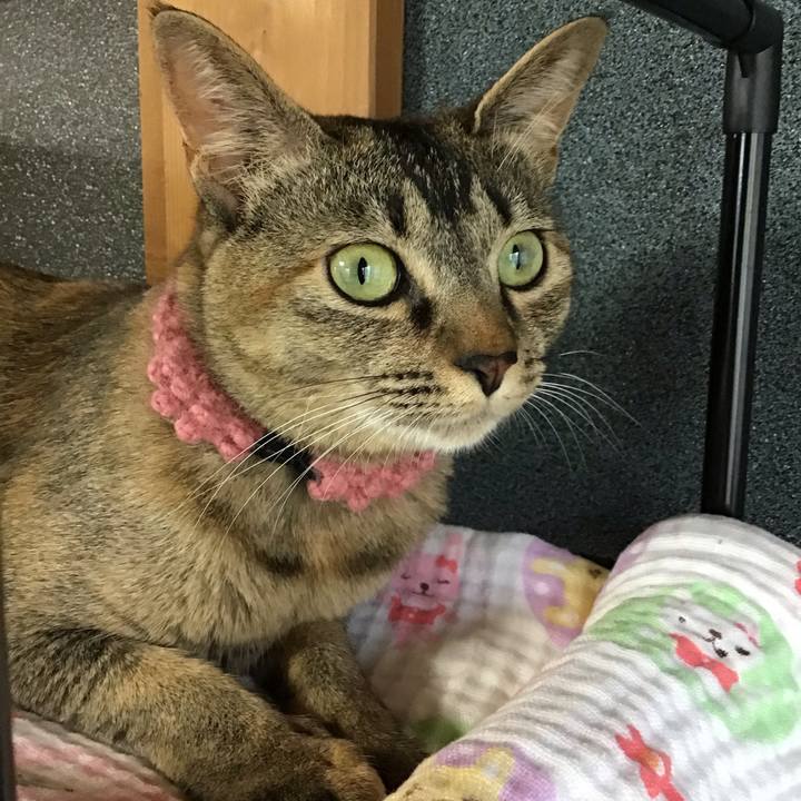 50dd09da 2ee6 4fb9 9885 dff28c556cec 1592382465683