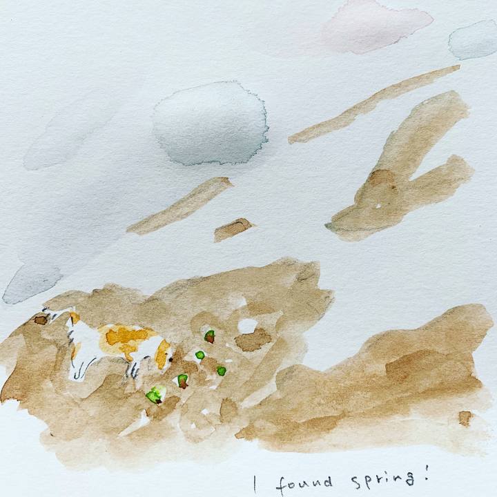 50dd122e ecd4 42df b24f b04836692708 1582593911975