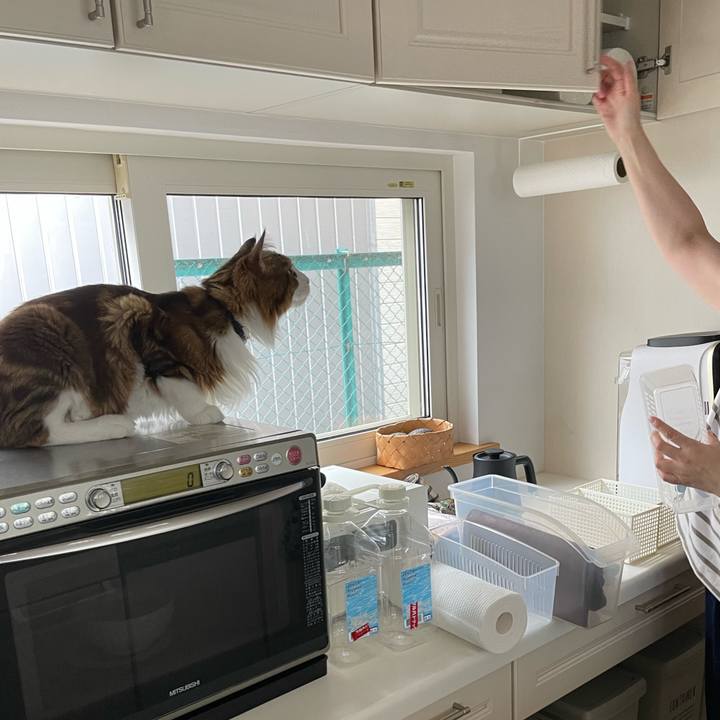 50dd5ca2 9169 4f05 b6b2 ef4f63b46fac 1663557175326