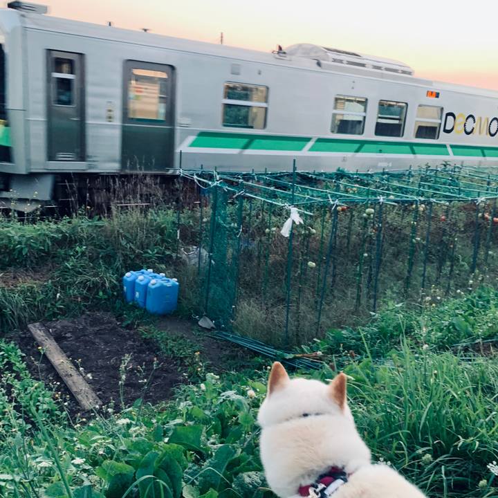 50dd9570 af82 4e94 b448 d73e344a3f2e 1599599628396