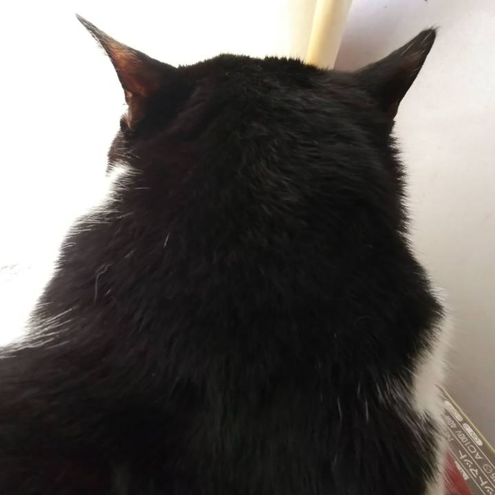 50dd9817 2a05 43c3 ae5d c2a7f6a8e7f2 1561413317485