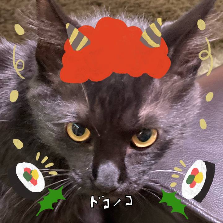 50dda926 d47f 4056 a54f 0205674e022b 1706917664407