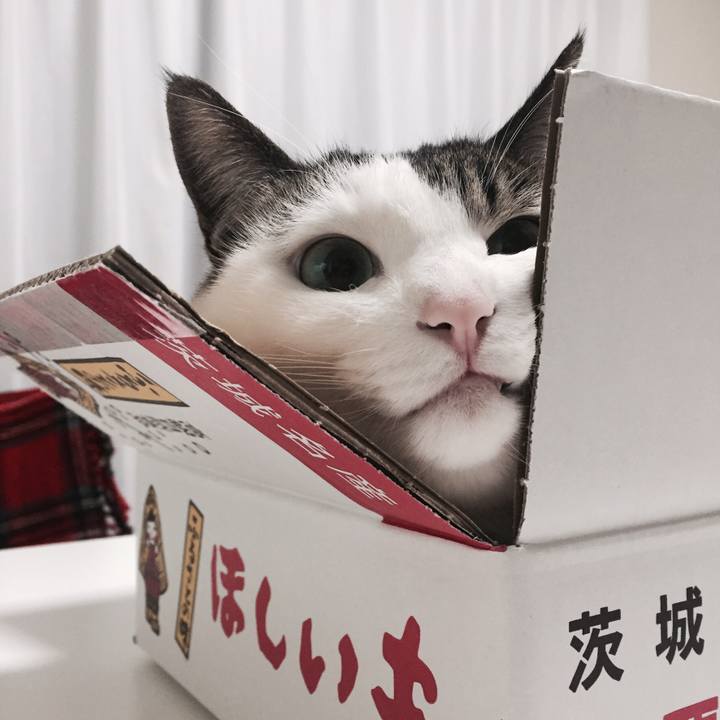 50ddb27a bce3 4bd5 9f18 dbb6a368fe7f 1515850867194