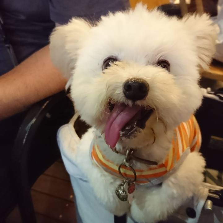 50ddc0f5 e603 4600 b200 a34f87f847b9 1563702574058