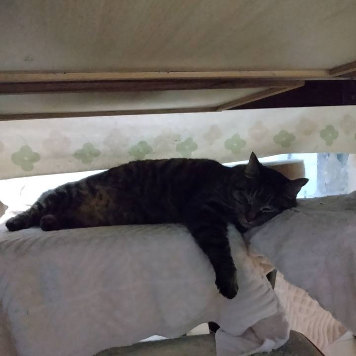 50ddccbd 22cf 4d12 95af aecc9570f935 1676203682633