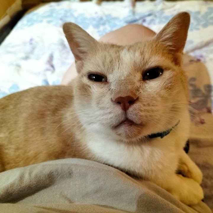 50dde3d7 fbaf 45d5 9248 22d567238b74 1667129511296