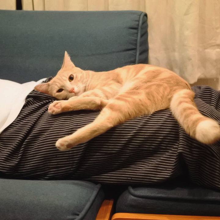 50de02dc f627 4311 b581 dd751da23fd8 1565189540812