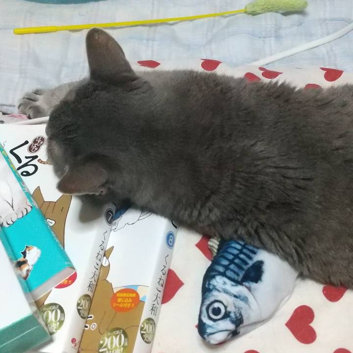 50de2665 39c6 42aa 9cf5 70fefbe414af 1660476008264