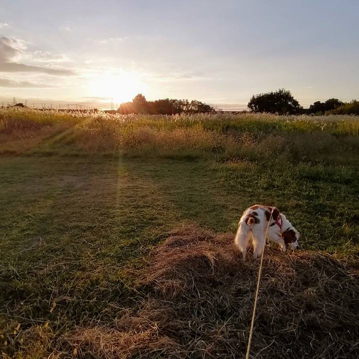 50de30a3 b842 43d8 b2e9 b9bd42d3c2b7 1633863344389