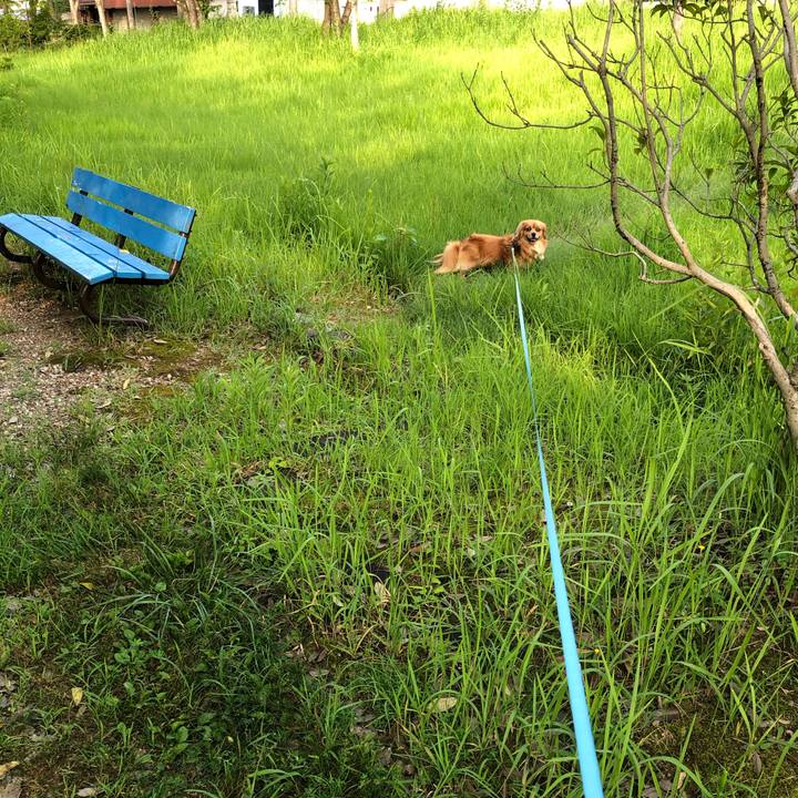 50de32a9 f0e1 4838 b3c0 e793114ef275 1564871706319