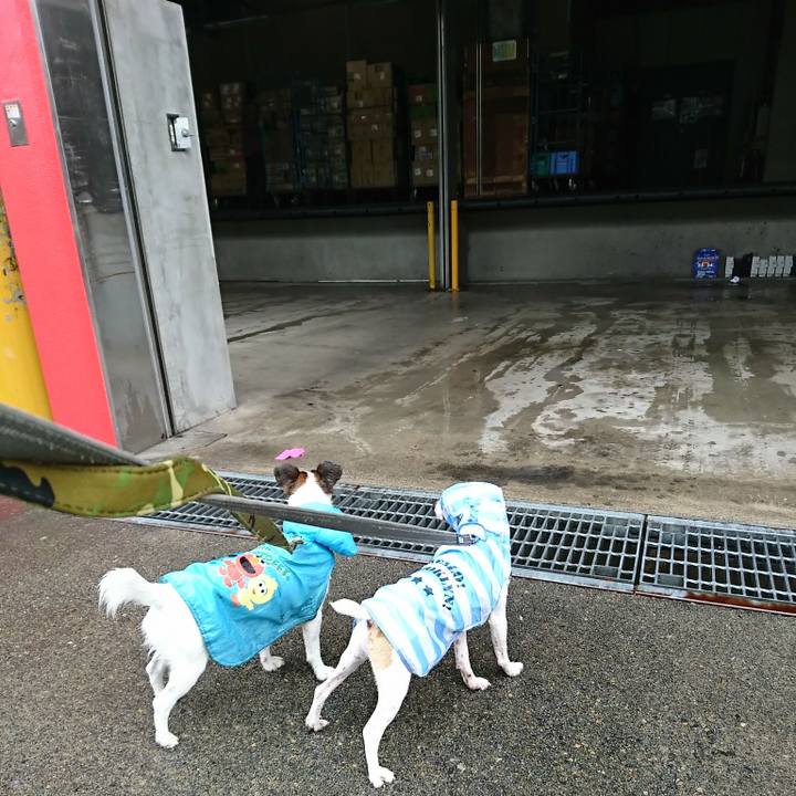 50de427a d6d6 436d ae4d 38a4868789b3 1532740200067