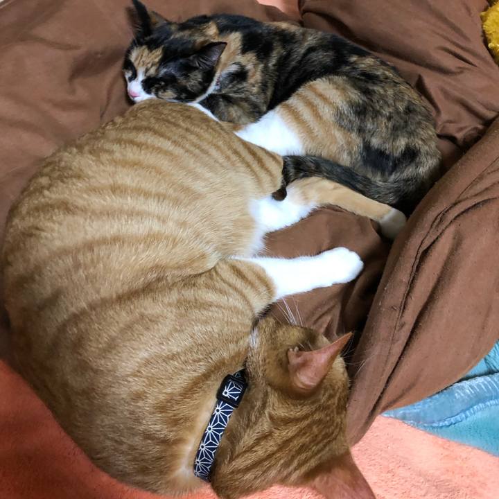 50de4e4e 1ae7 4ed0 90bb 2daa019c041d 1555665227092