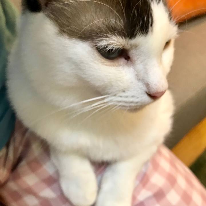 50de8c4f b4d0 434f aa19 95b559bc547c 1567940399995