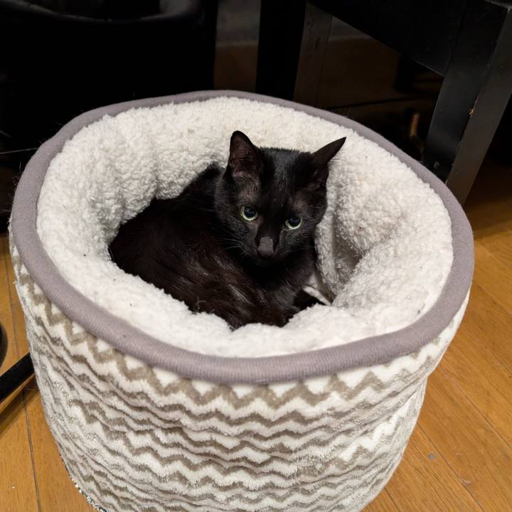 50de900b ae79 41c1 9cd8 36fc4db31796 1766358231680