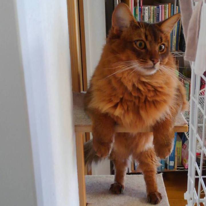 50de959f a7c9 424f 9adc 04edba8c118e 1597393307826