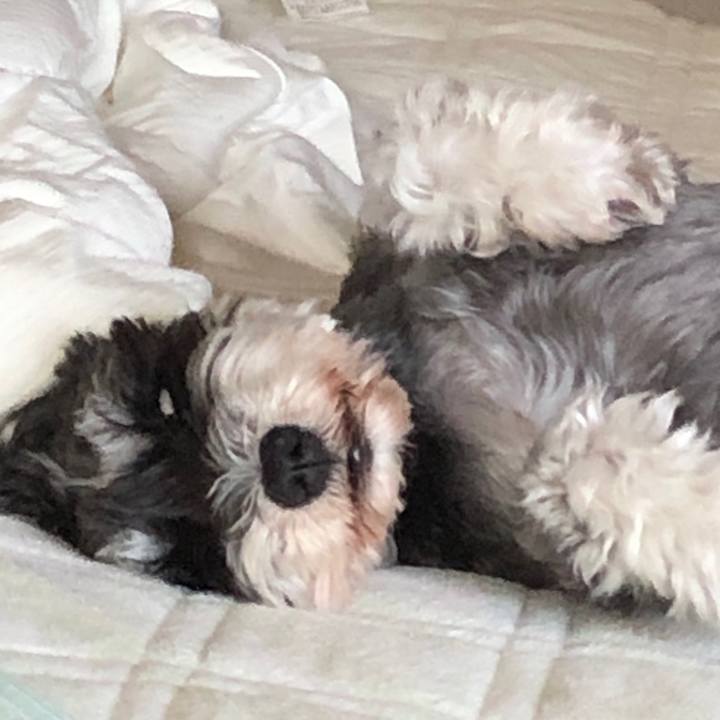 50deb349 5717 47e2 bd2f 3f6776c99836 1688297054270