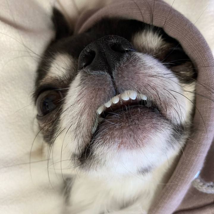 50ded37a b3b0 4ed5 842b 782b549da5a5 1674313592156