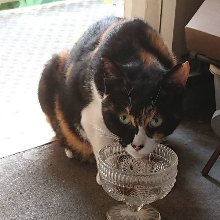 50dee6ed 34b2 4634 9028 54dc56bd7a4f 1597356847144