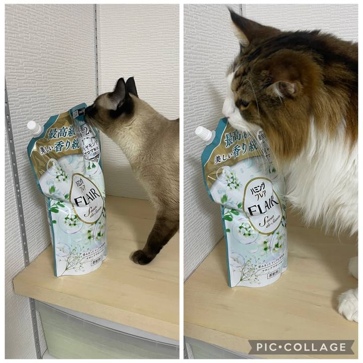 50df161b 2a7a 49a9 ba68 1d7af1d350da 1759010428127