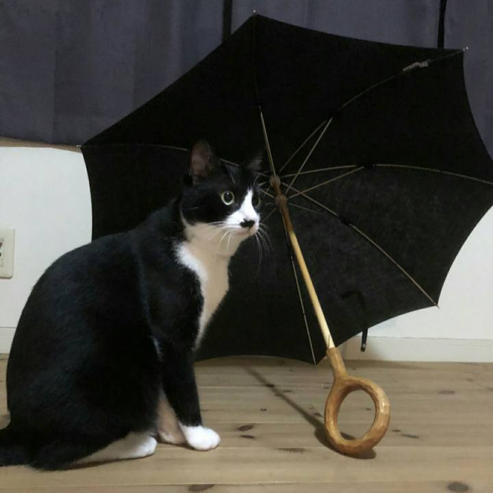 50df25ed 725c 44e8 920b 985736898613 1537366802271