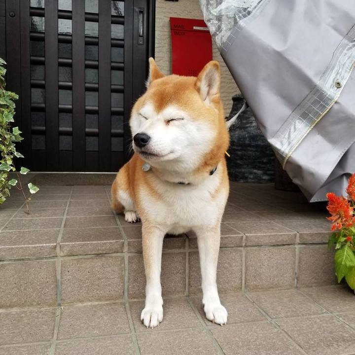 50df2fe6 1b73 4652 962b cf6d005a575f 1572996449548