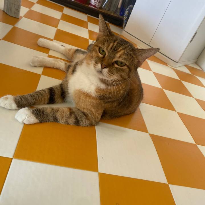 50df310c 4ecc 460b be0a b580e572f3a4 1693615883552