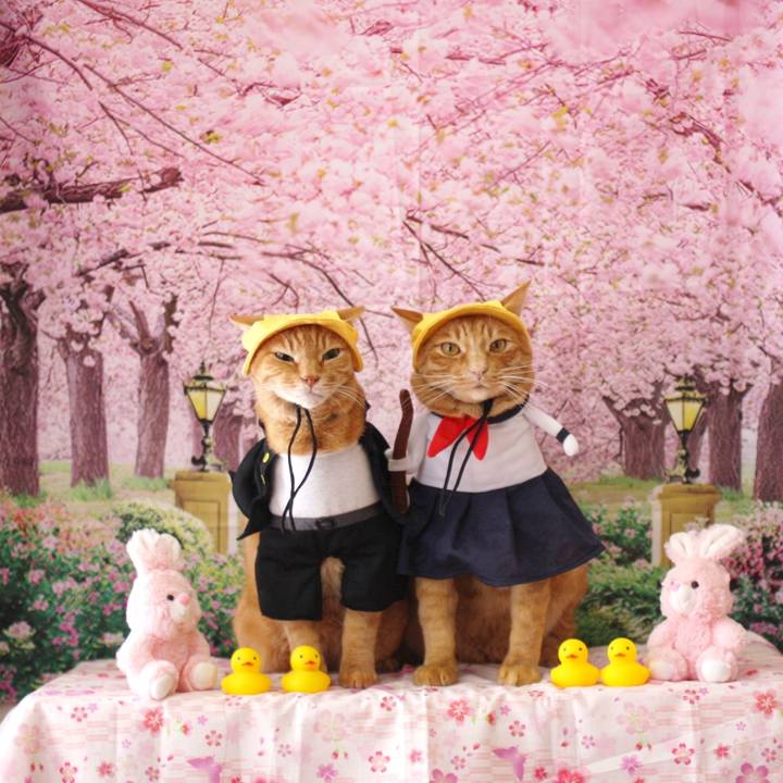 50df3983 11c1 4017 bd7e 88144226cb8d 1775808210565