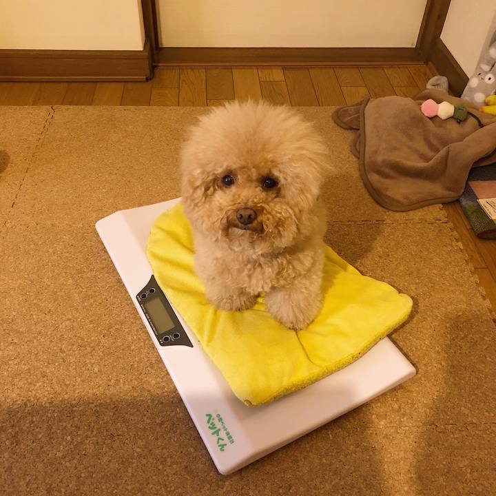 50df52ef e467 441d b9a6 c7e396c3308d 1524475052305