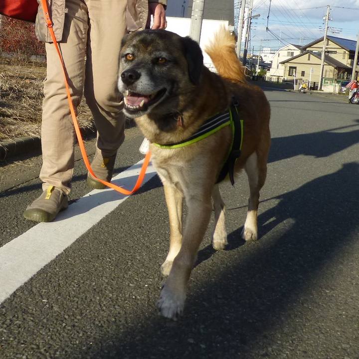 50dfe360 c3f9 48c2 9d91 48c9bcdb7de3 1581124893820