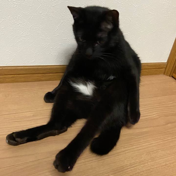 50dfe578 7303 4756 9d2c eb24b07c7a39 1679051886383