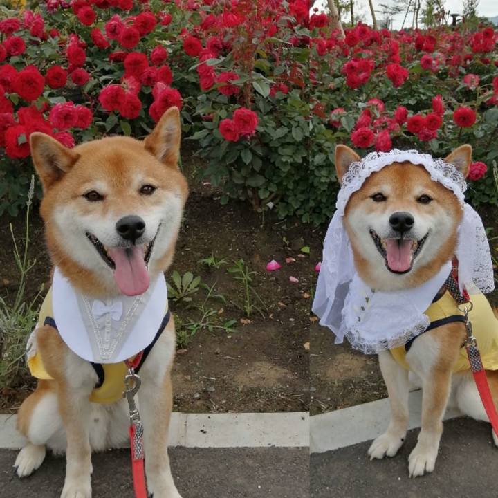 50e0381b eaaf 49ff a5a1 d1903a1d0270 1622697080618