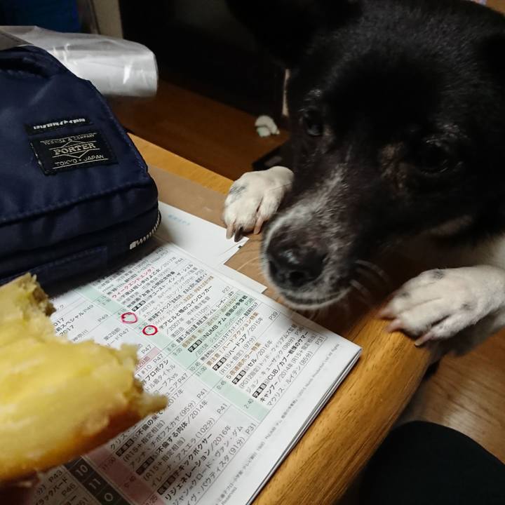 50e06f1b 020d 4e59 a46c d961b6fd76a8 1520939711919