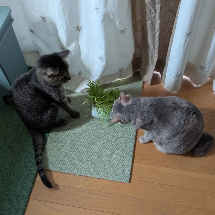 50e08a4d ef20 4c9b 8ef6 1027f73eb8f2 1760601197053