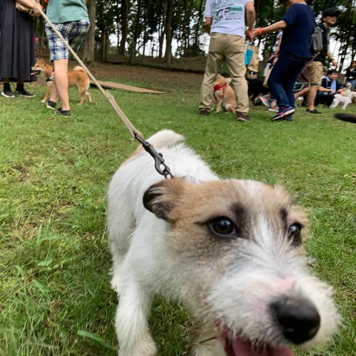 50e0a97b 4746 475c b963 84bbc0821781 1566646165150